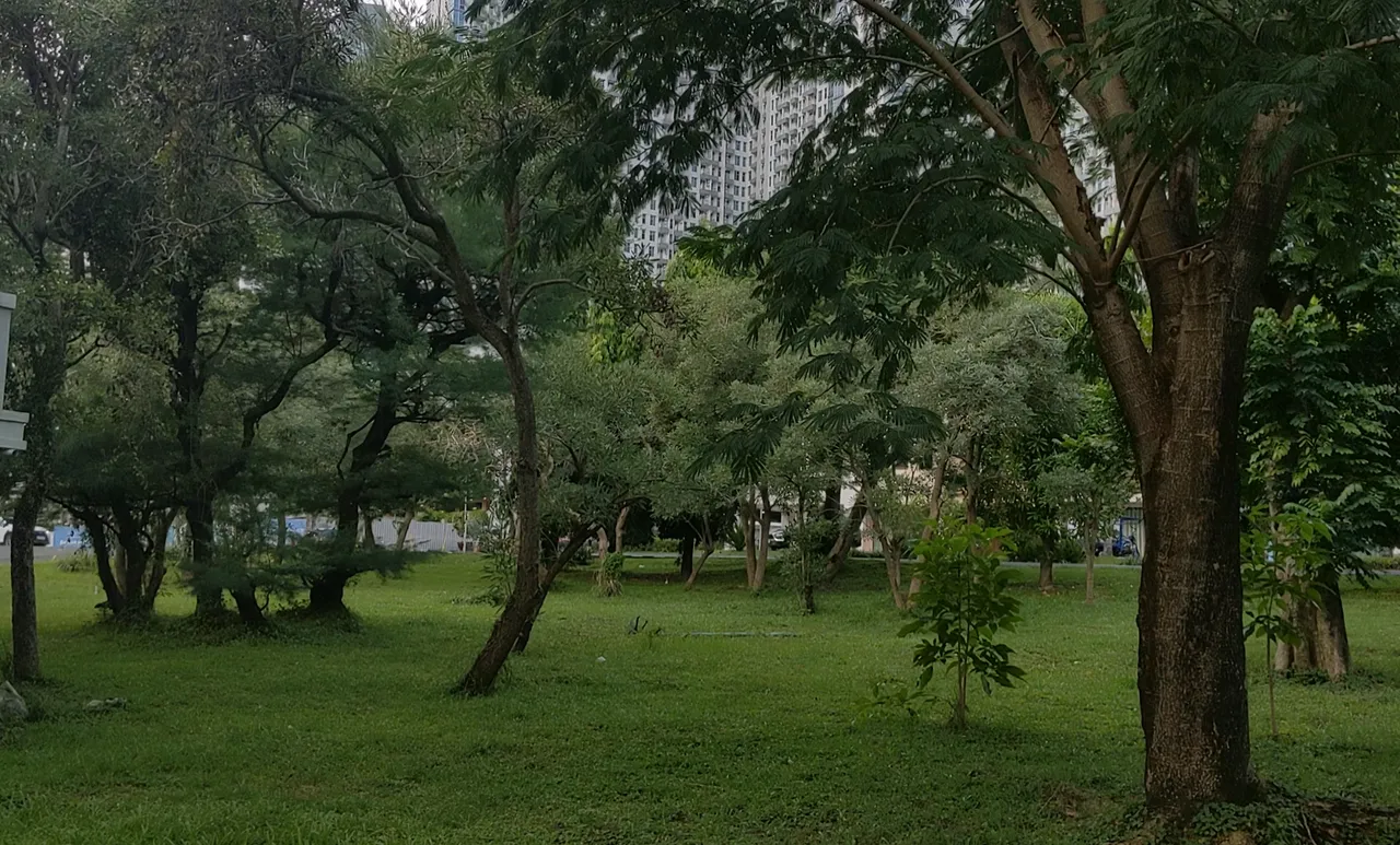IMG_20250404_114503.png