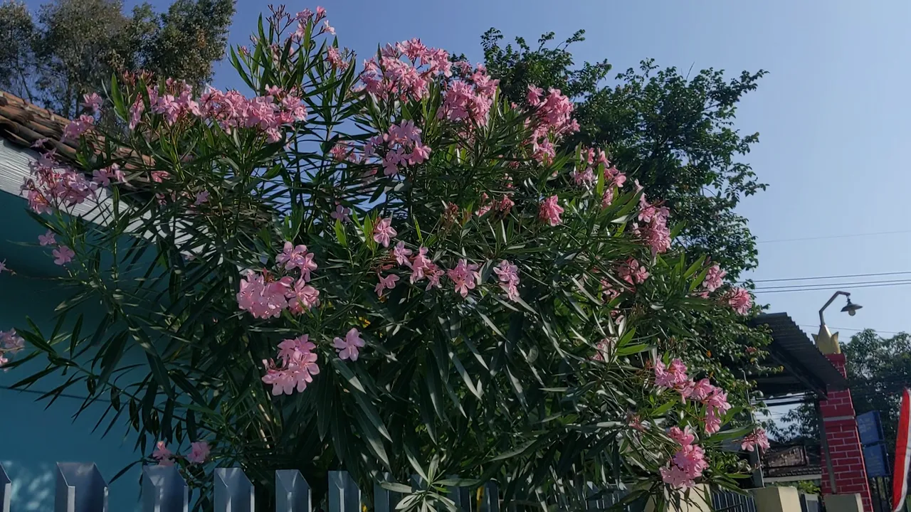 Screenshot_20250730-053631~2_071506.png