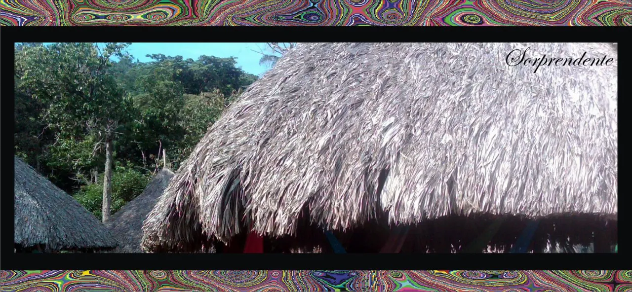 7 techos de palma VZLA.jpg