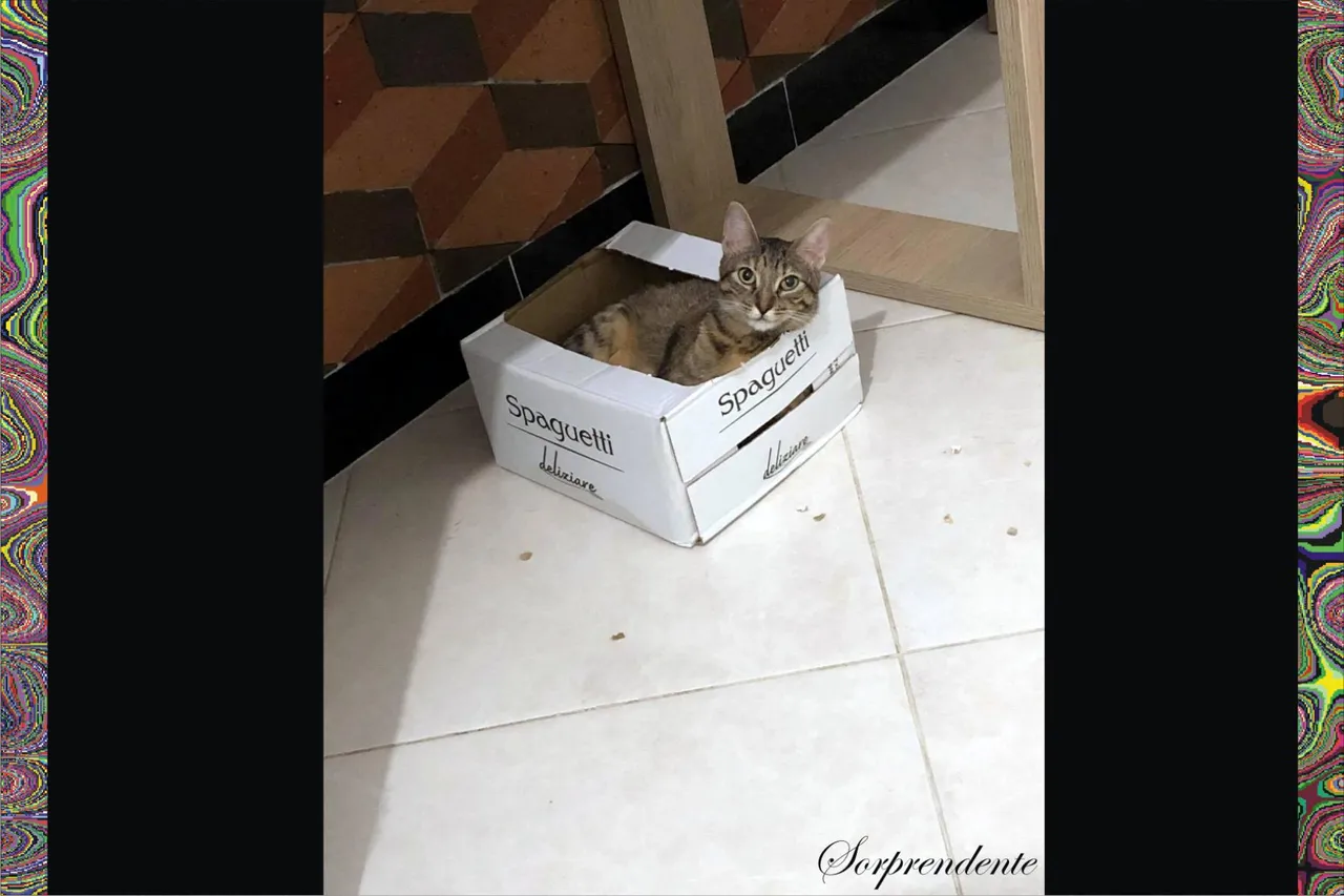 3.Sorprendente.jpg