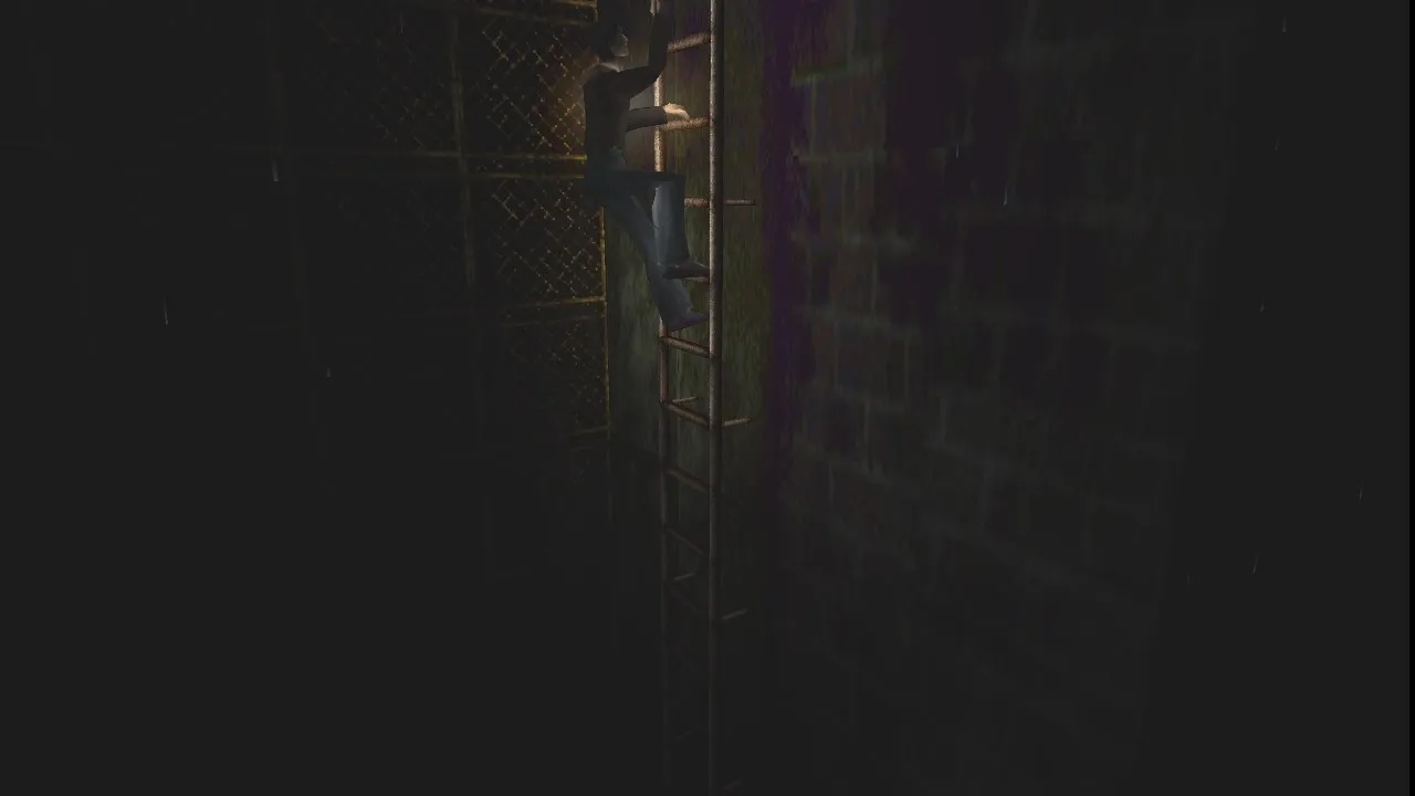 harry subiendo escalera ssss.jpg