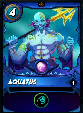 aqua rif 3.jpg