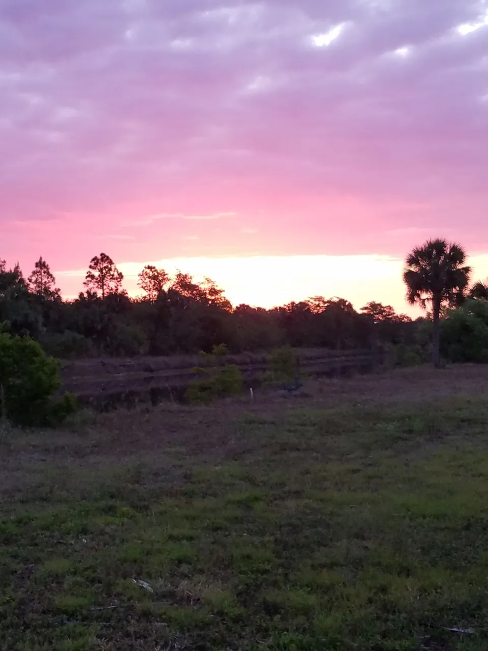 backyard sunset.jpg