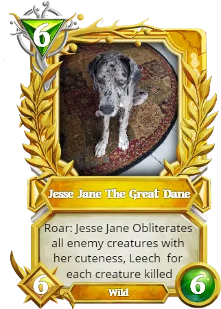 24164016983812.png