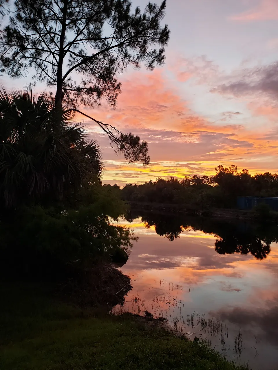 front yard sunset.jpg