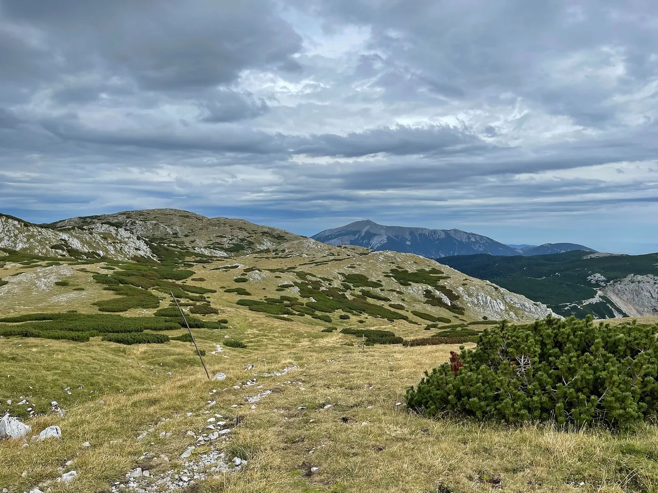 IMG-7857.jpg
