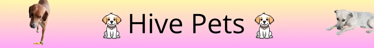 separador purga este si.png