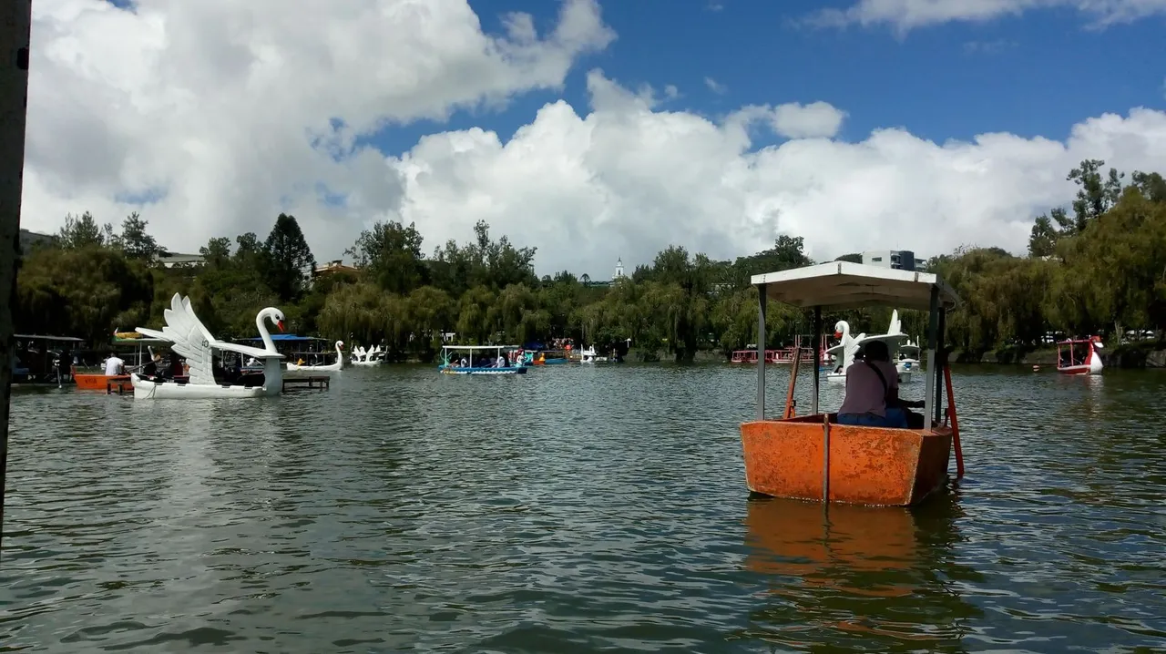 IMG_20221106_113616030x.jpg