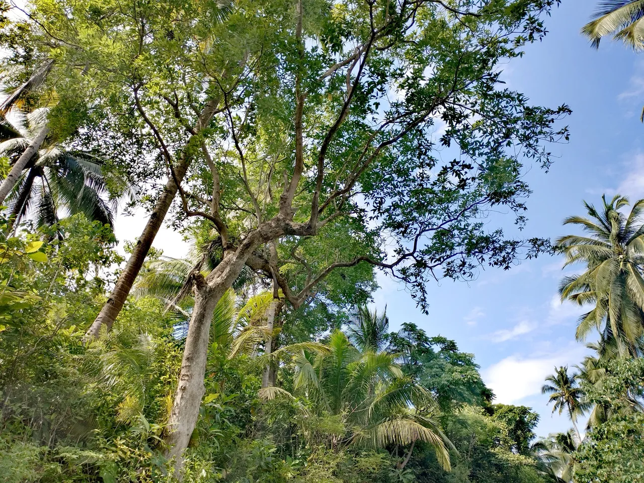 IMG_20250725_094100.jpg