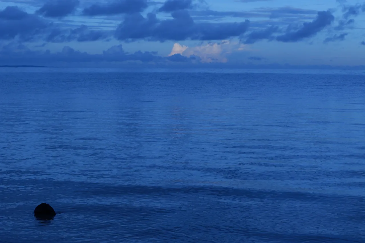 DSCF6994.JPG
