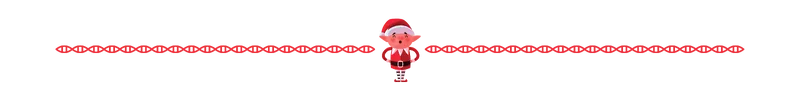 Santa's elf text divider.png