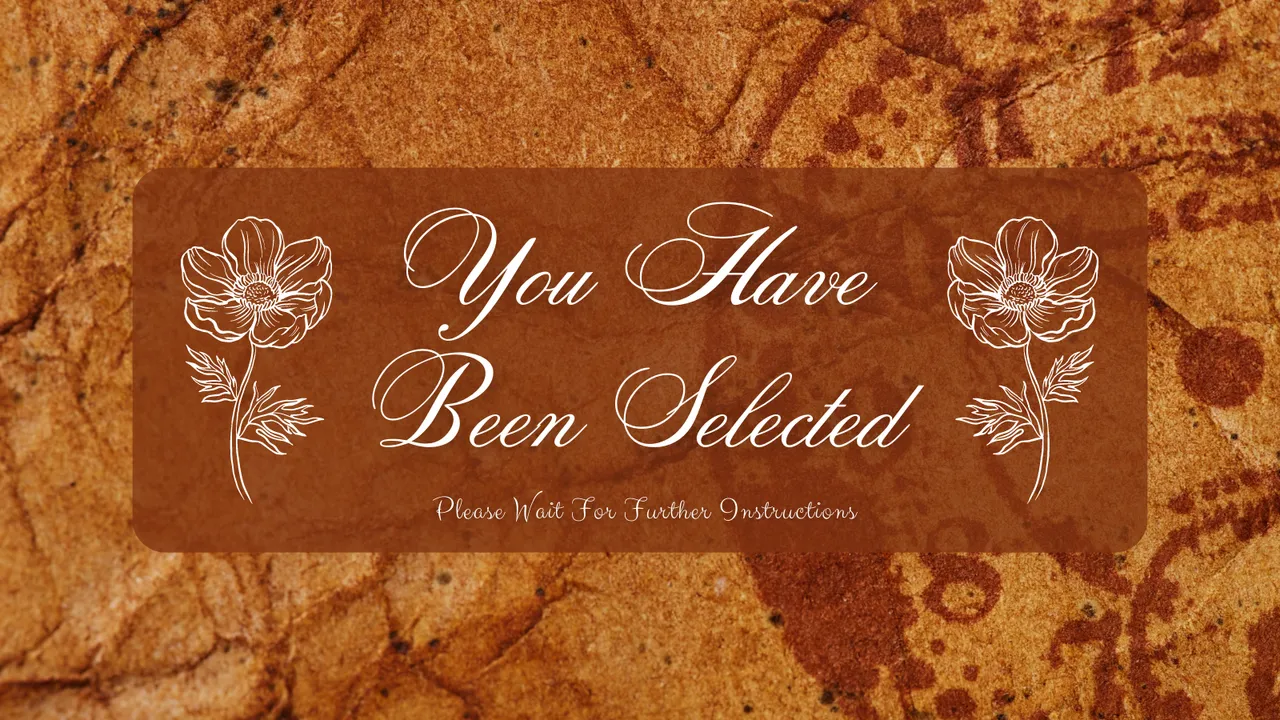You Have Been Selected.png