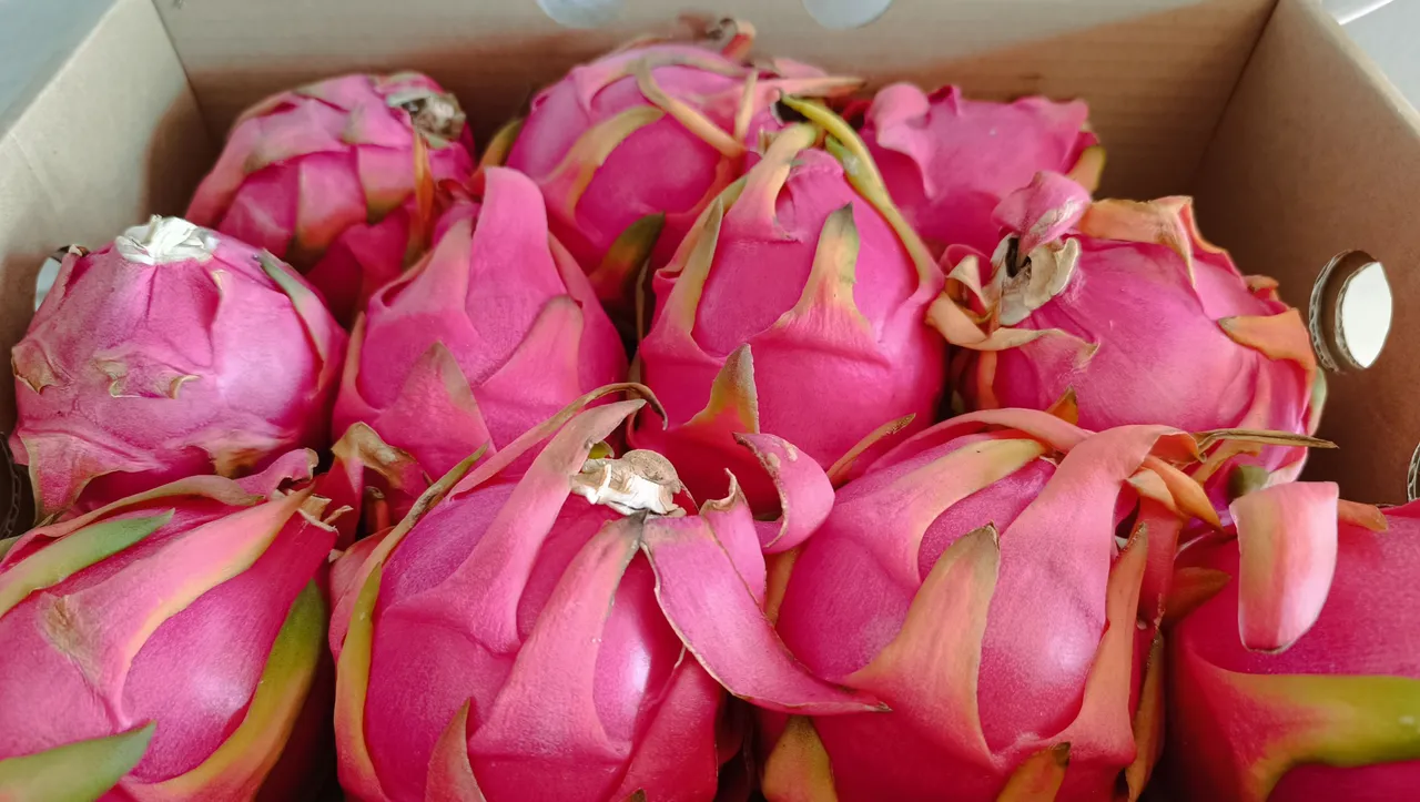 pitaya aka dragonfruit (4).jpg