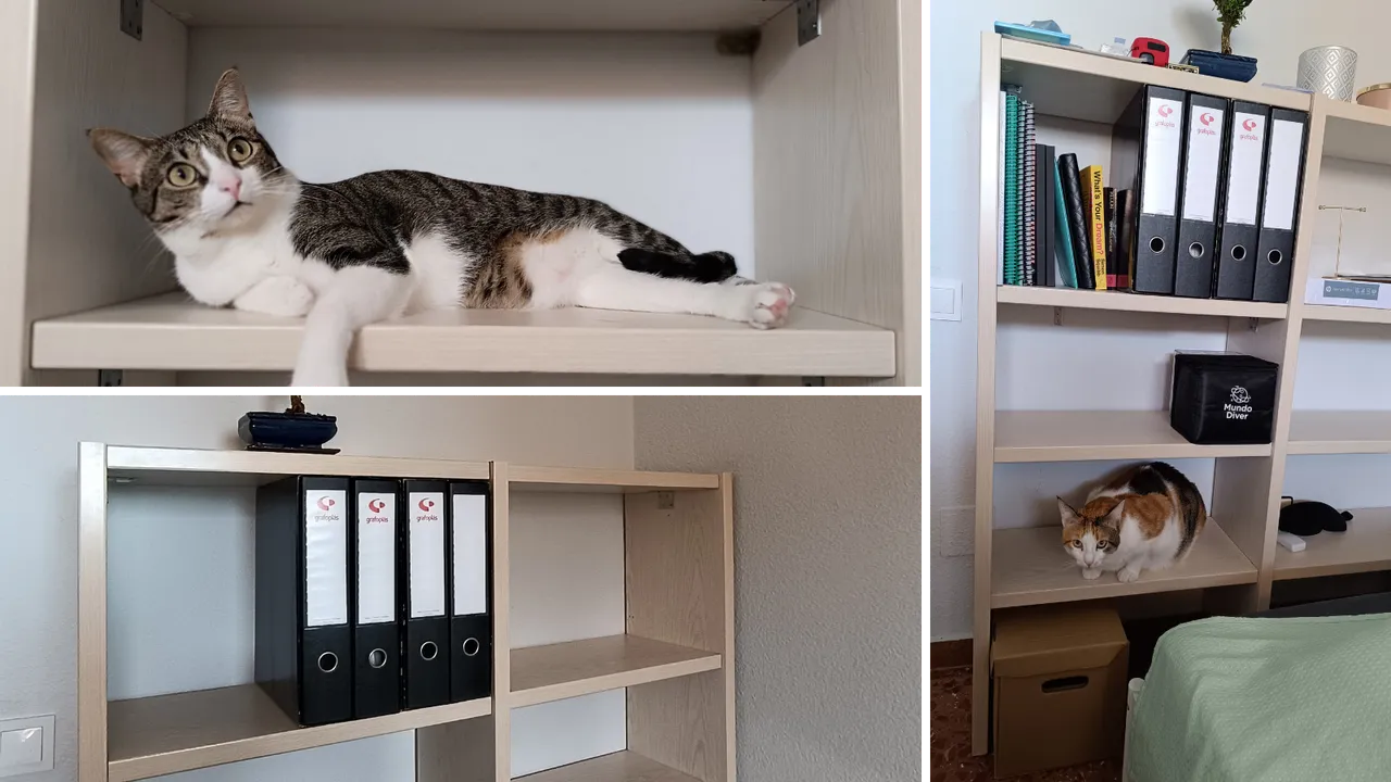 A free shelving unit at the dumpster.png