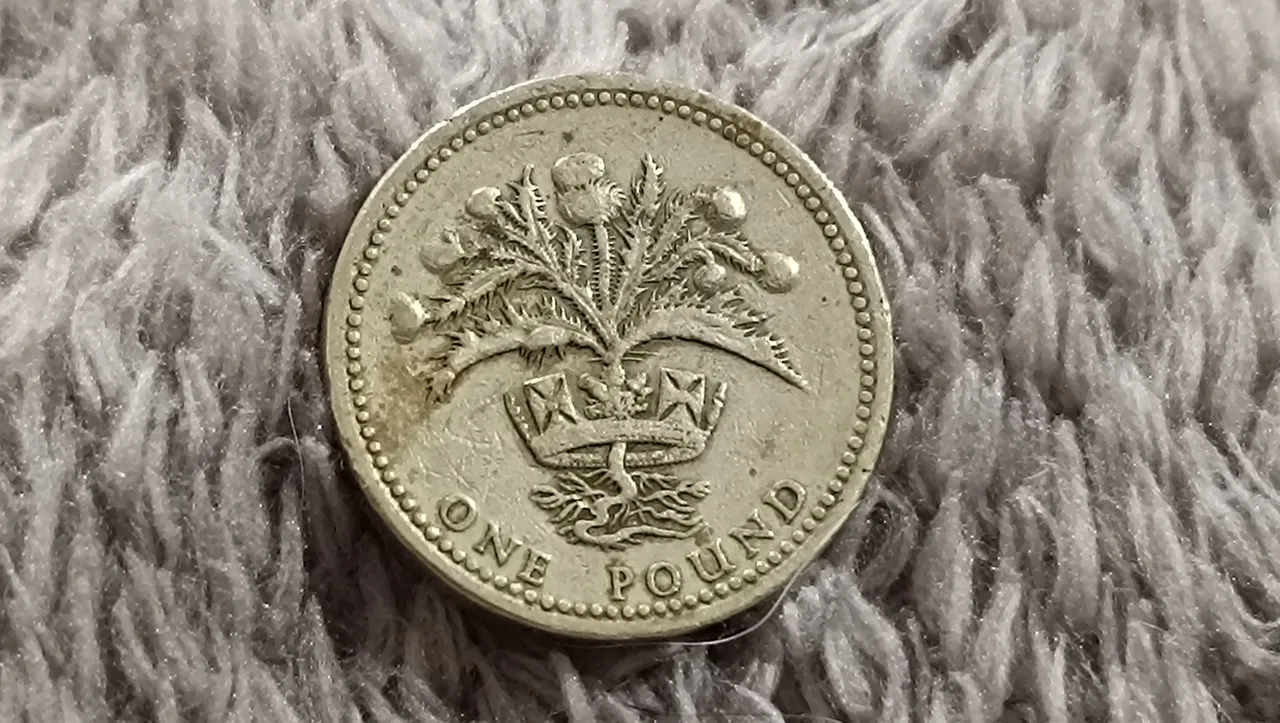 Pound 1984.jpg