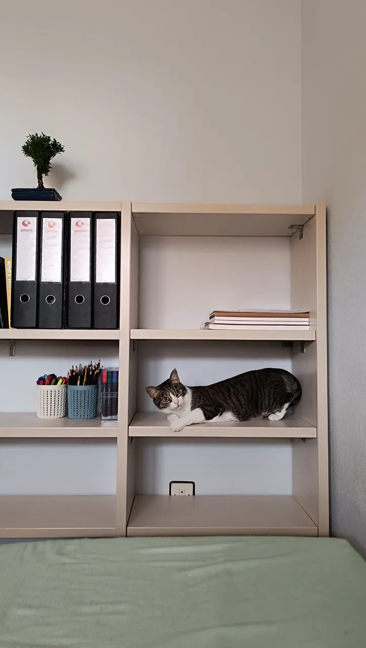 Free shelving unit (4).jpg
