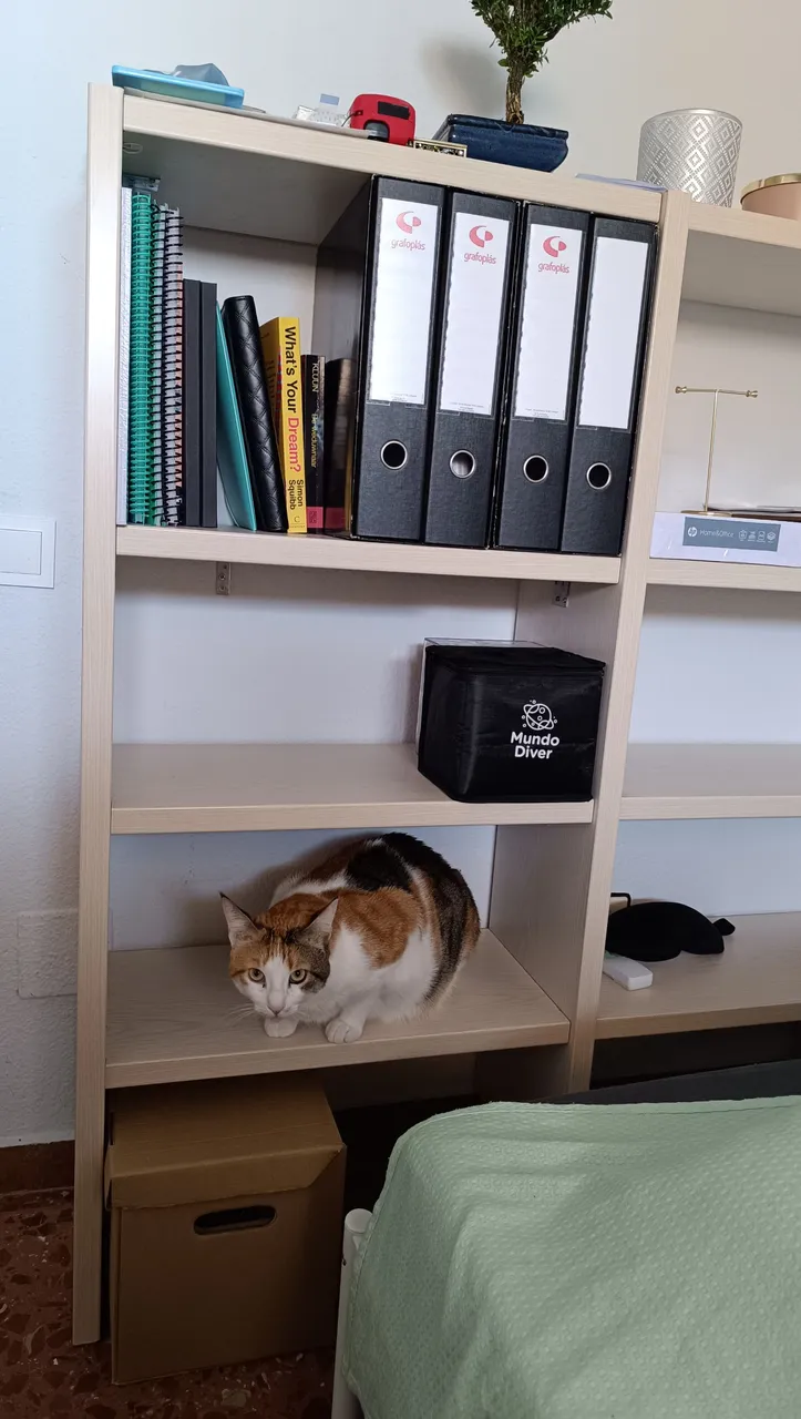 Free shelving unit (8).jpg