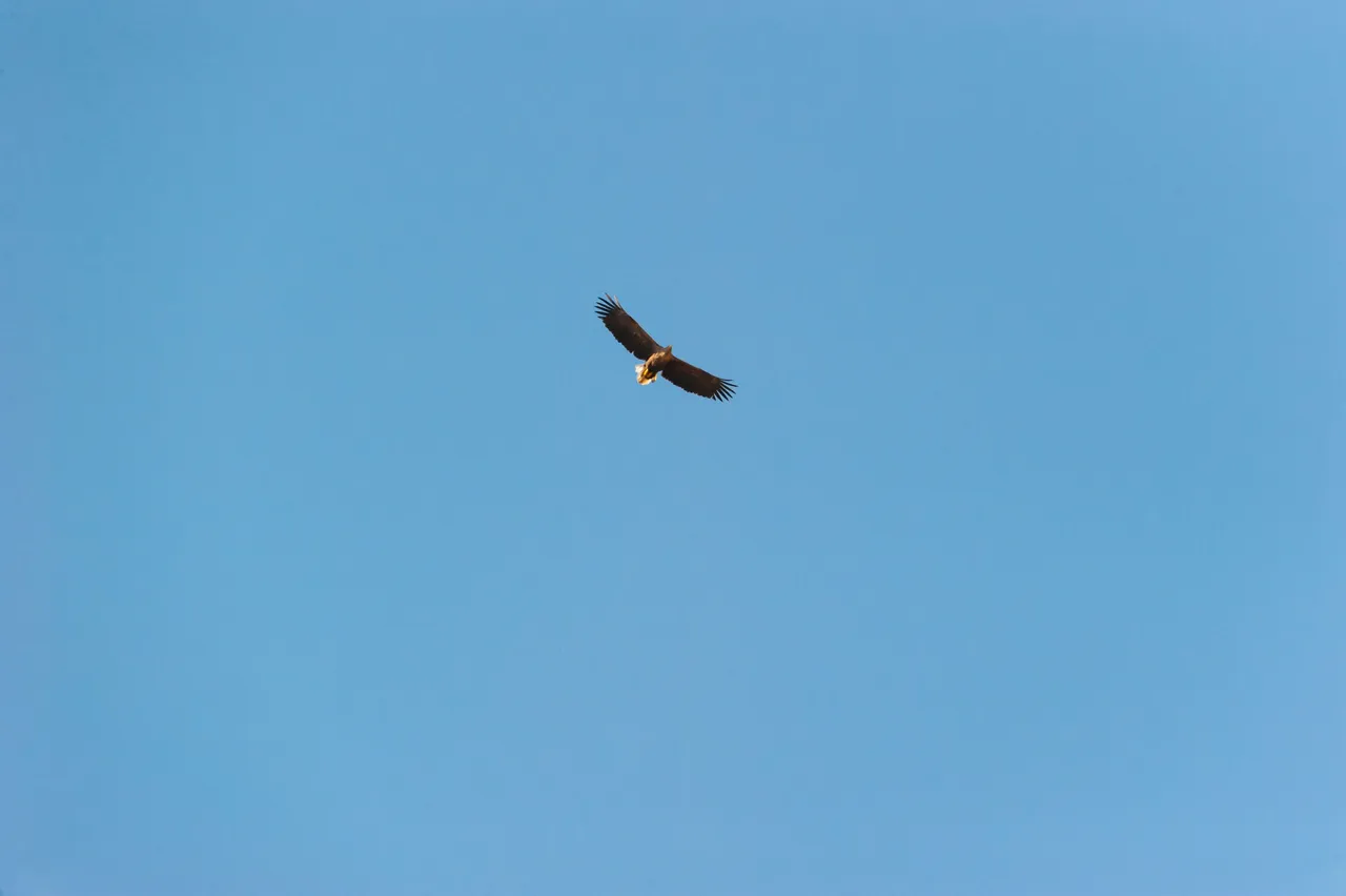 DSC_7524.jpg
