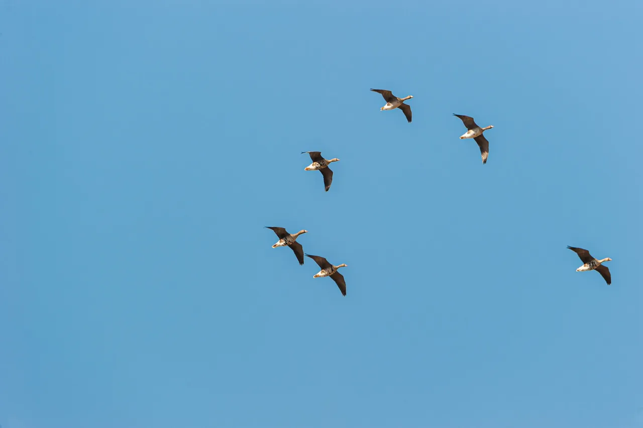 DSC_7527.jpg