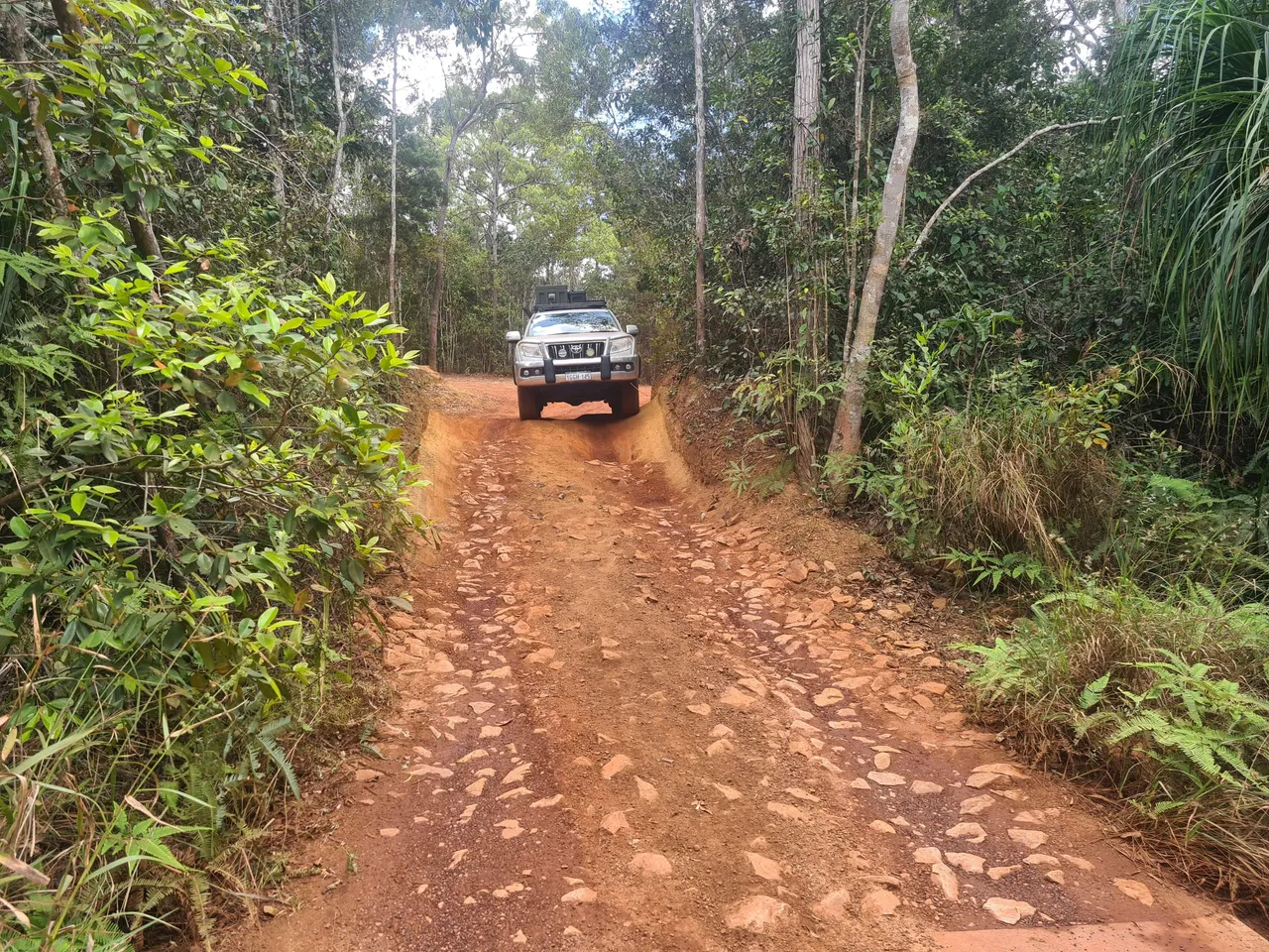 20220911_124616.jpg