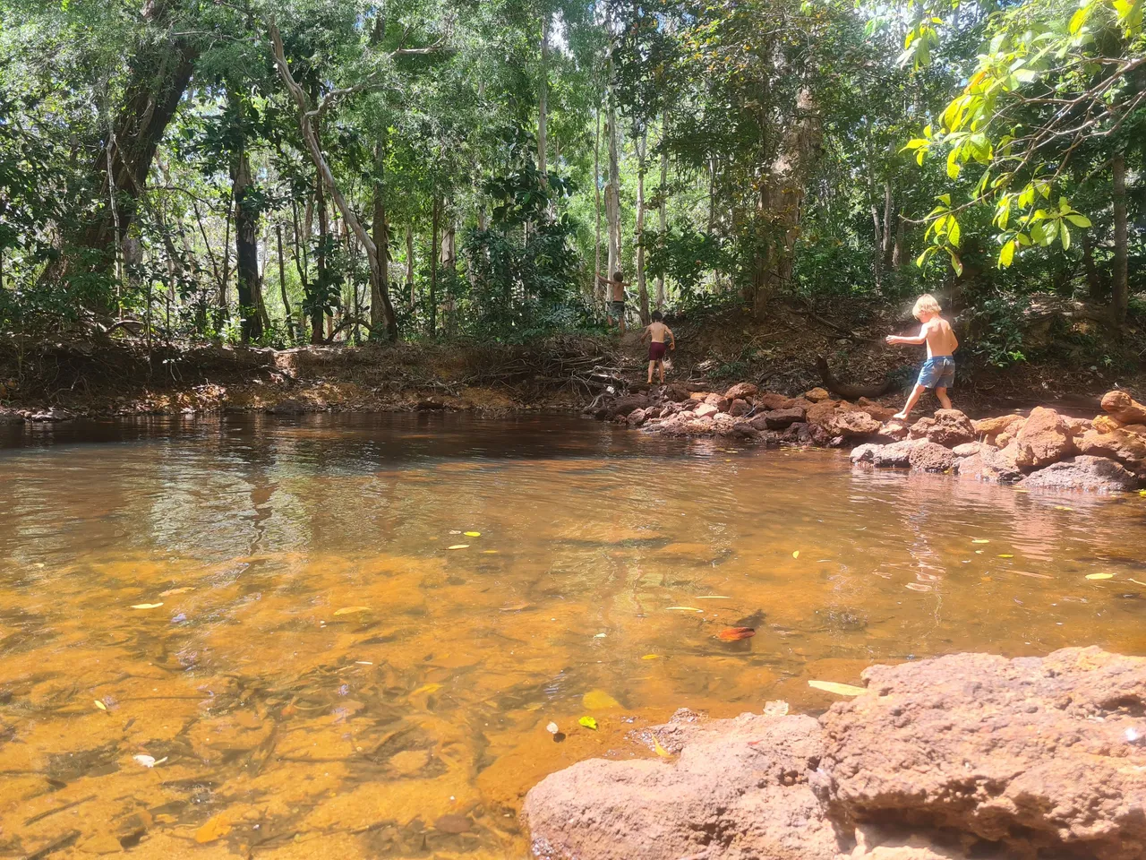 20220917_135147.jpg
