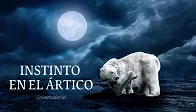 artic 1.png