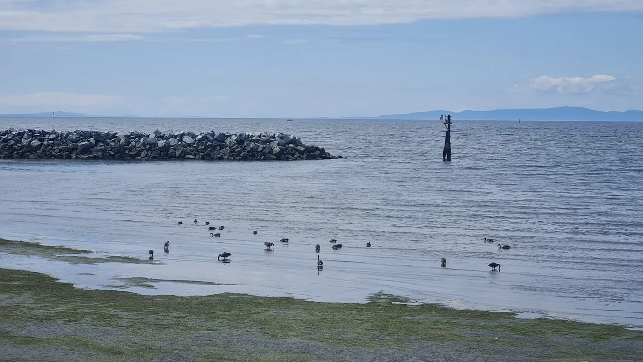 White Rock ocean view from the pier