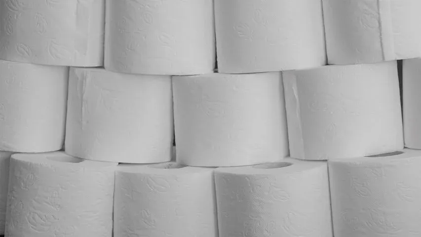 toilet-paper-4967985__480.webp