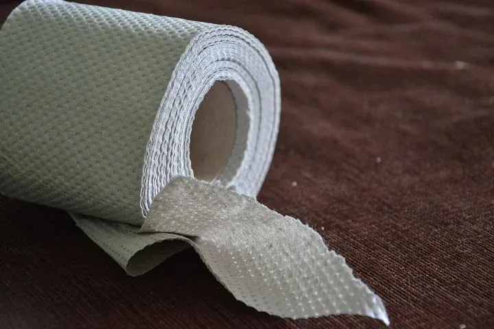 toilet-paper-313820__480.webp