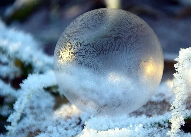 bubble-1896125__480.webp