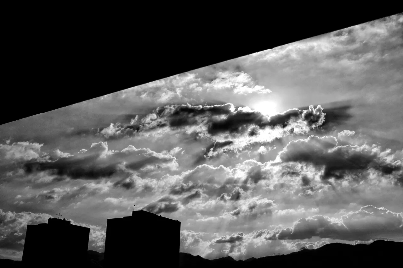 IMG_0492-01.jpeg