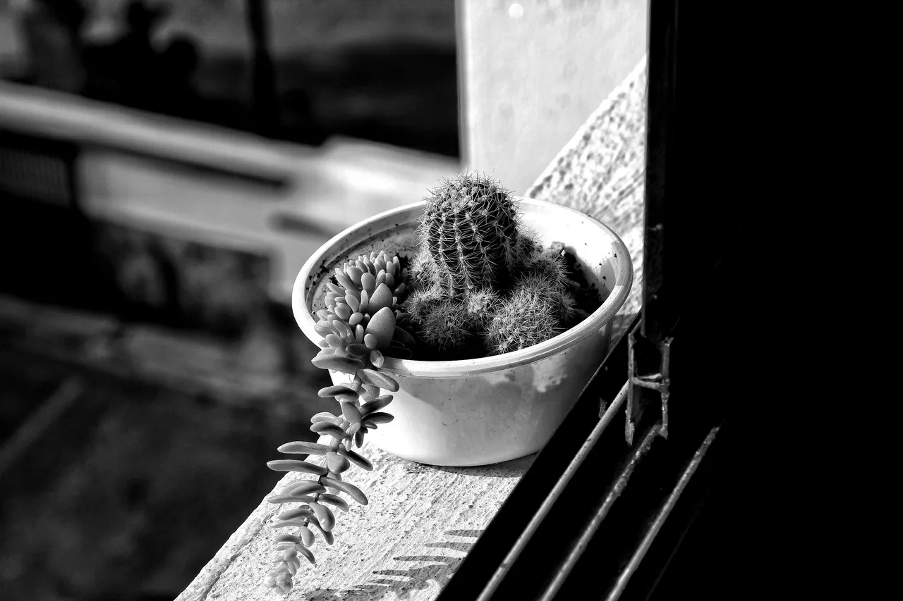 IMG_0480-01.jpeg