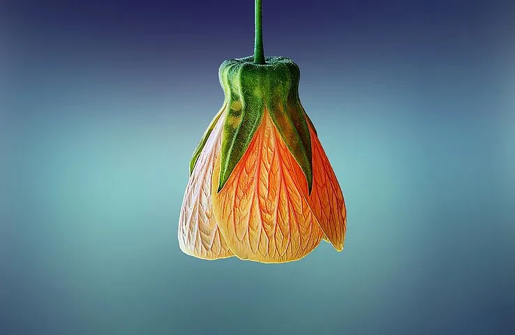 flower-729515__480.jpg