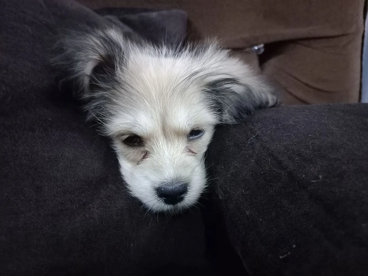 20220122_103848.jpg