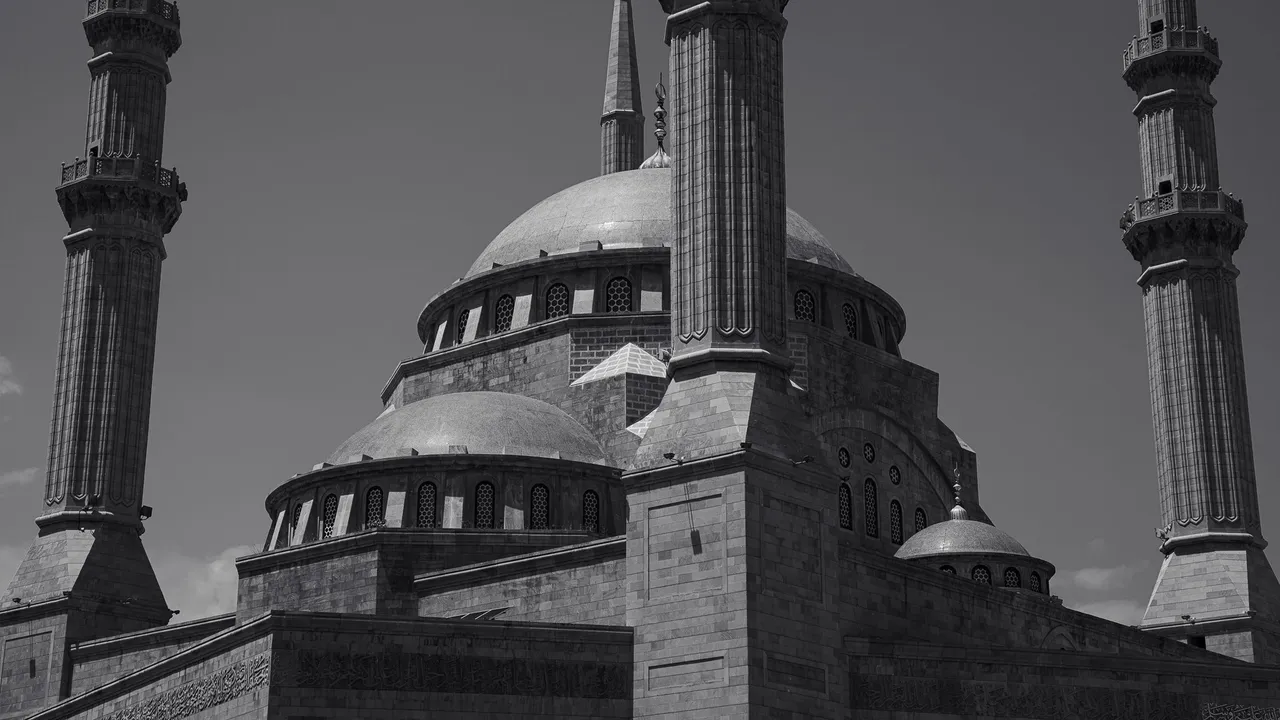 AR502093.jpg