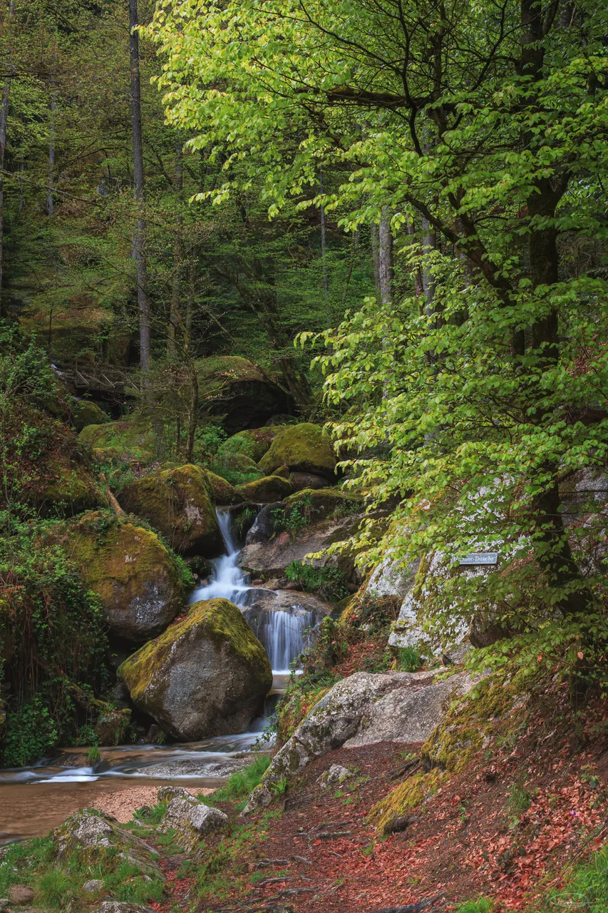Wolfsschlucht - Wolfs Gorge - Bad Kreuzen - Upper Austria - Johann Piber