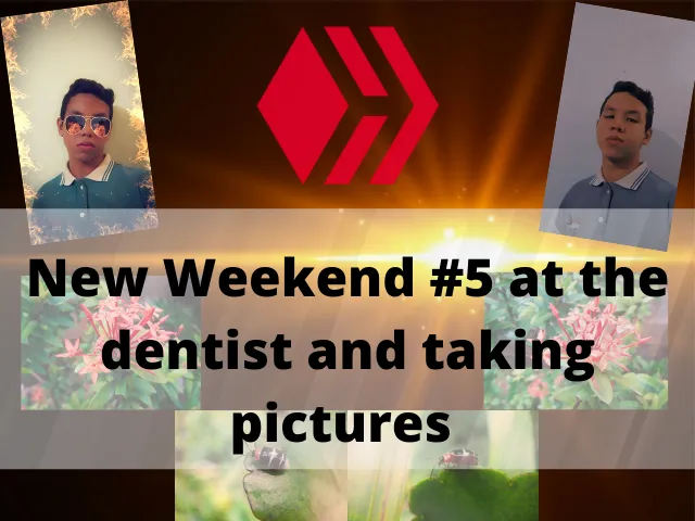 new_weekend_5_at_the_dentist_and_taking_pictures.png