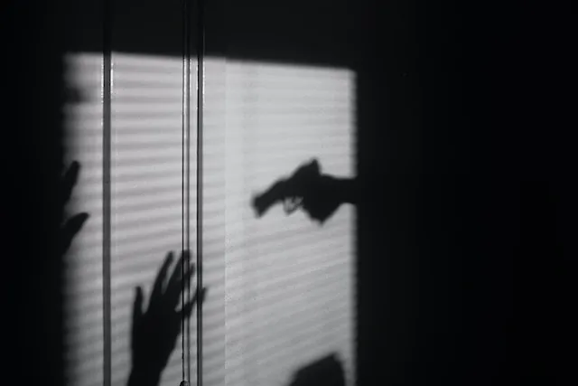 maxim-hopman-PEJHULxUHZs-unsplash Gun Crowley.jpg
