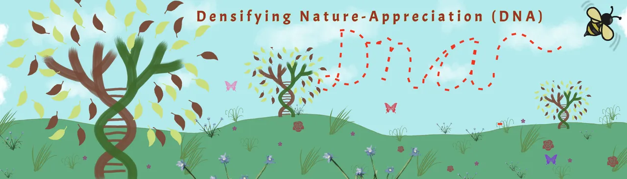 Densifying Nature-Appreciation (DNA) banner.png
