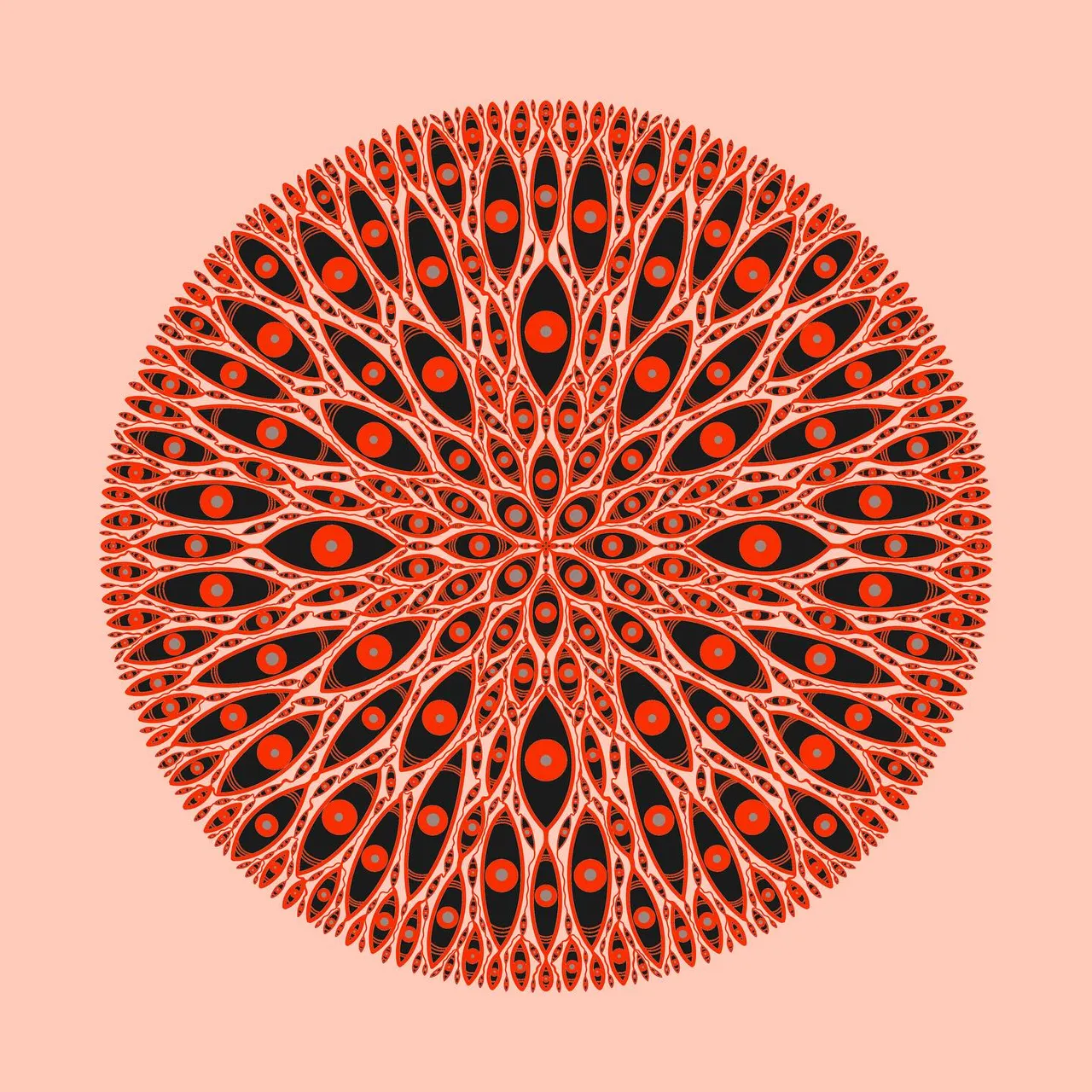 468112760_18473949979057258_7296080485700040455_n.jpg