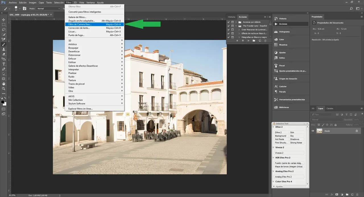 Paso 2  - Filtro de cámara Raw.jpg
