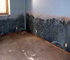 Mold room