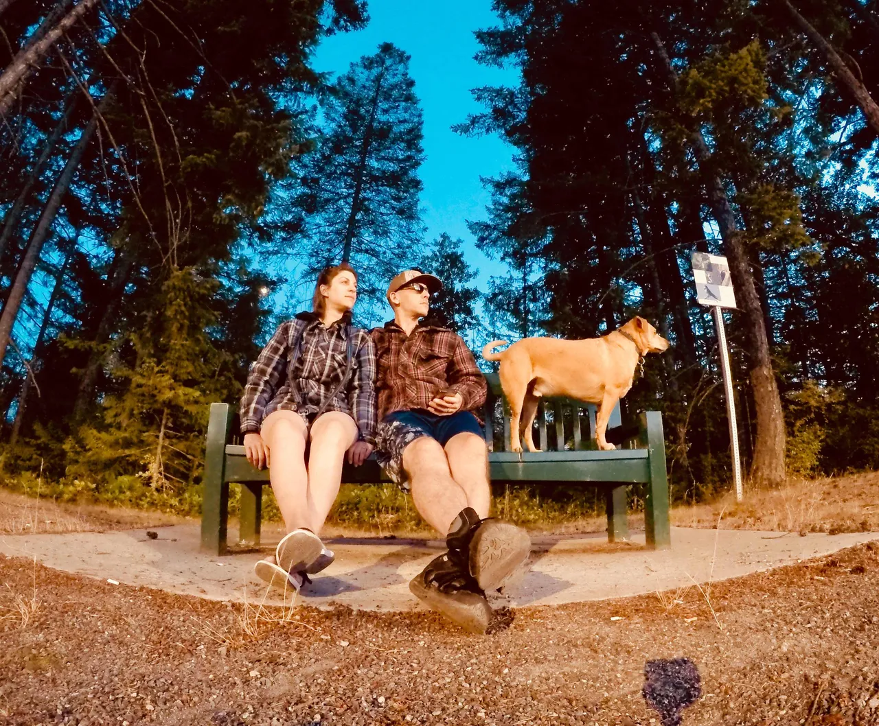 https://s3.us-east-2.amazonaws.com/partiko.io/img/d00k13-whats-that-over-there--is-my-fianc-my-camera-person-1532328019238.png