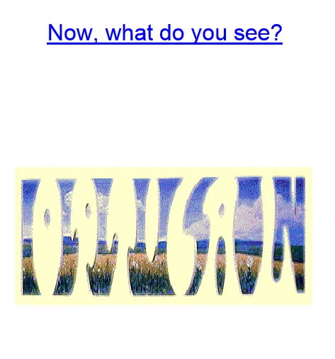 illussion or optical what do you see.png