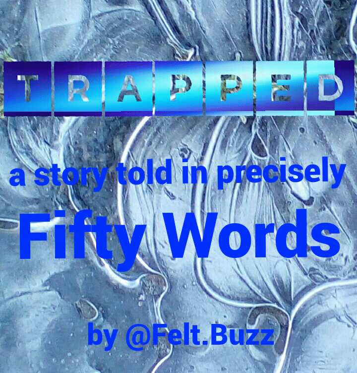 Trapped a FeltBuzz story in FiftyWords.gif