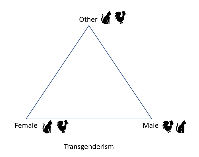 Notes for Feminist Religion_Transgenderism.PNG