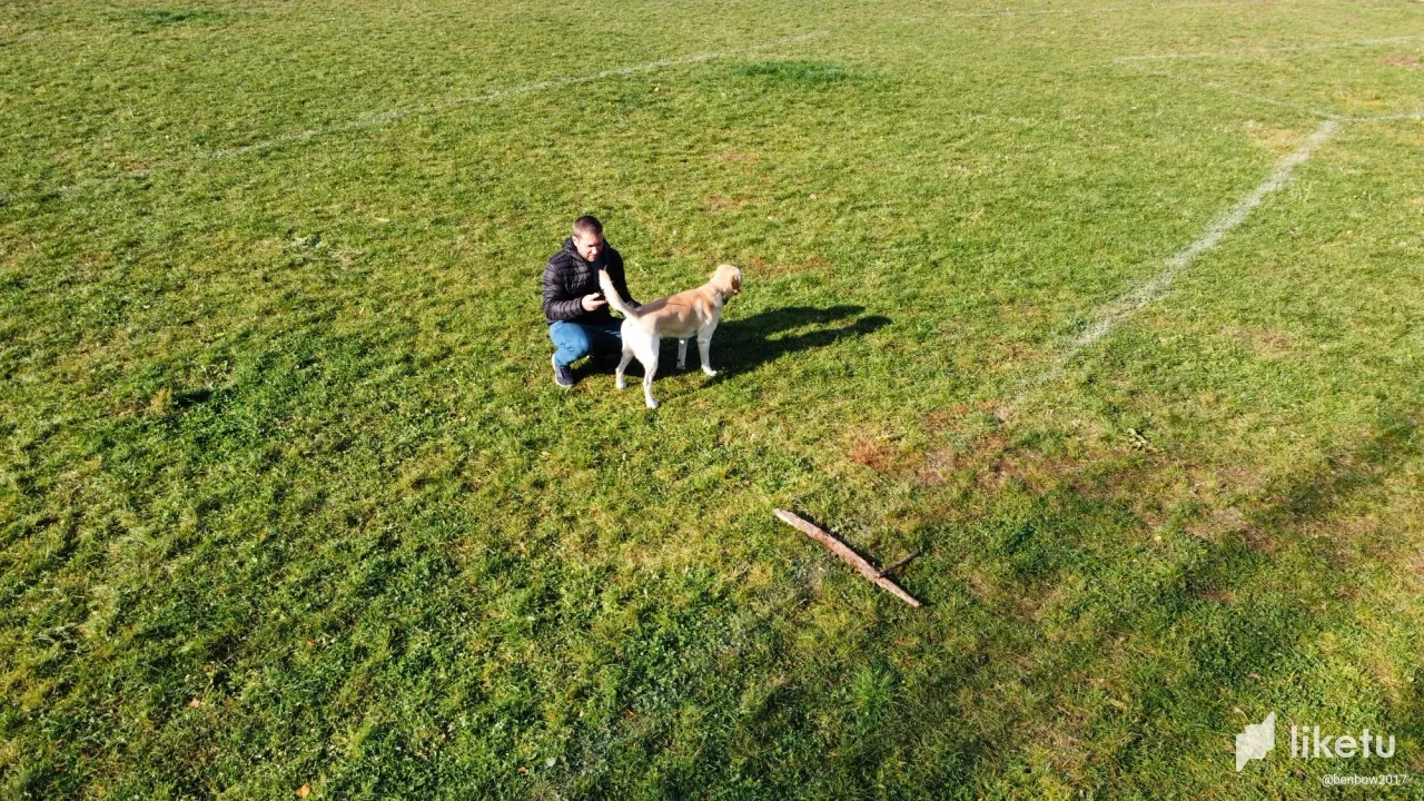 clagreo6q02b10imj0w6k9opb_dji_fly_20221114_132648_270_1668426572405_photo_optimized.webp