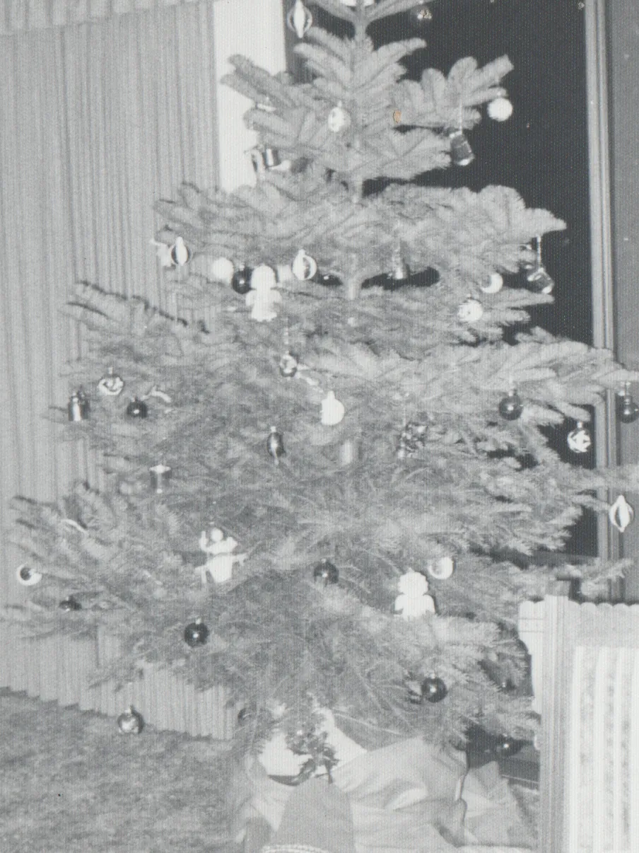 1975-01-01 - Wednesday - Christmas tree in a house in black and white, no date, not sure what year, 1pic.png