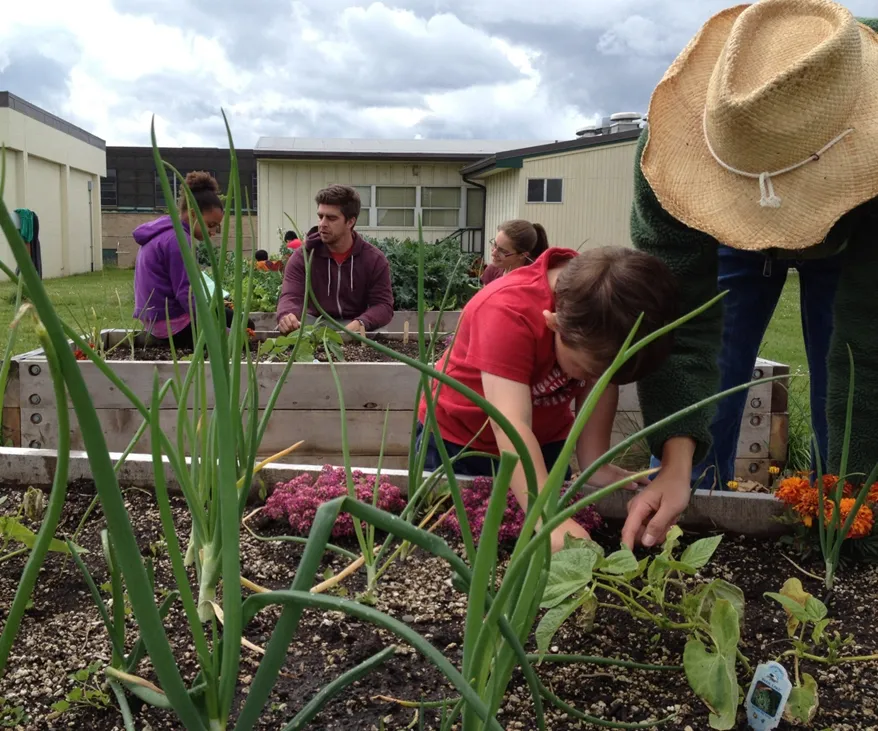 Resultado de imagen para The garden at school can serve as a basis for learning the disciplines and their contents.