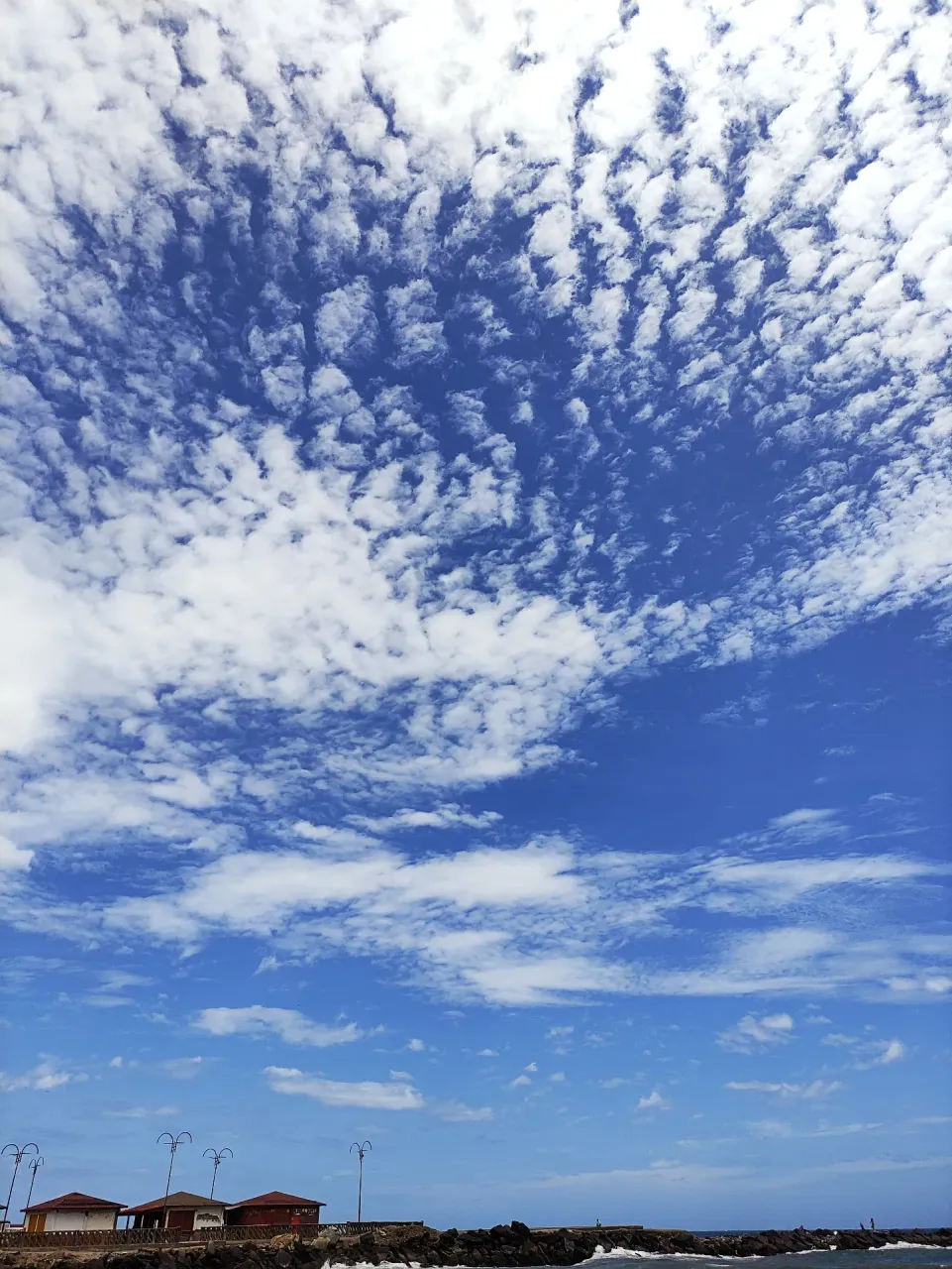 KEAVg5N8wh7PPRhL_3.webp